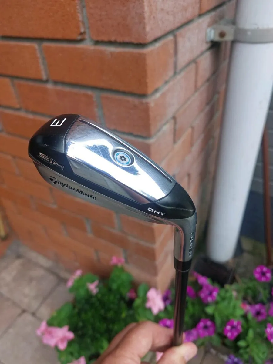 Golf club - Image 1