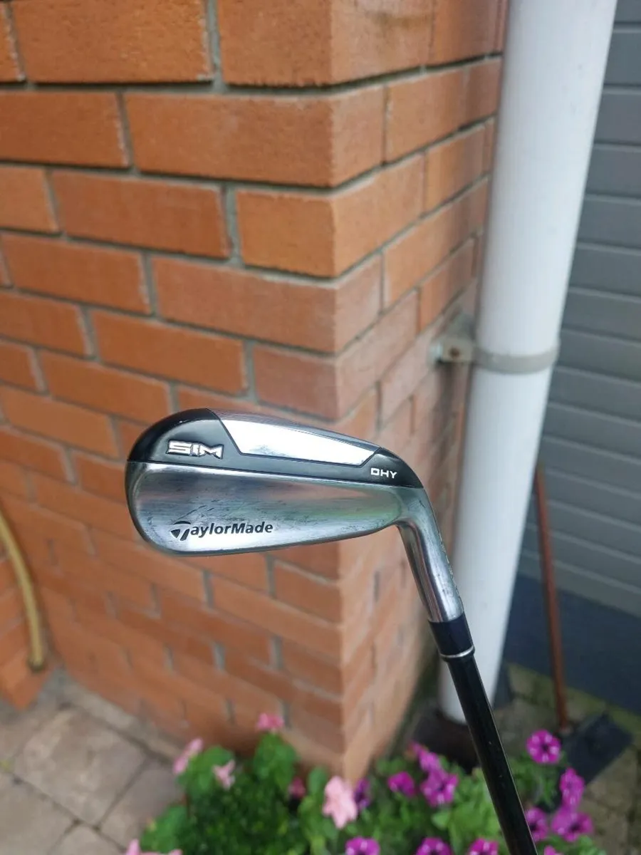 Golf club - Image 2