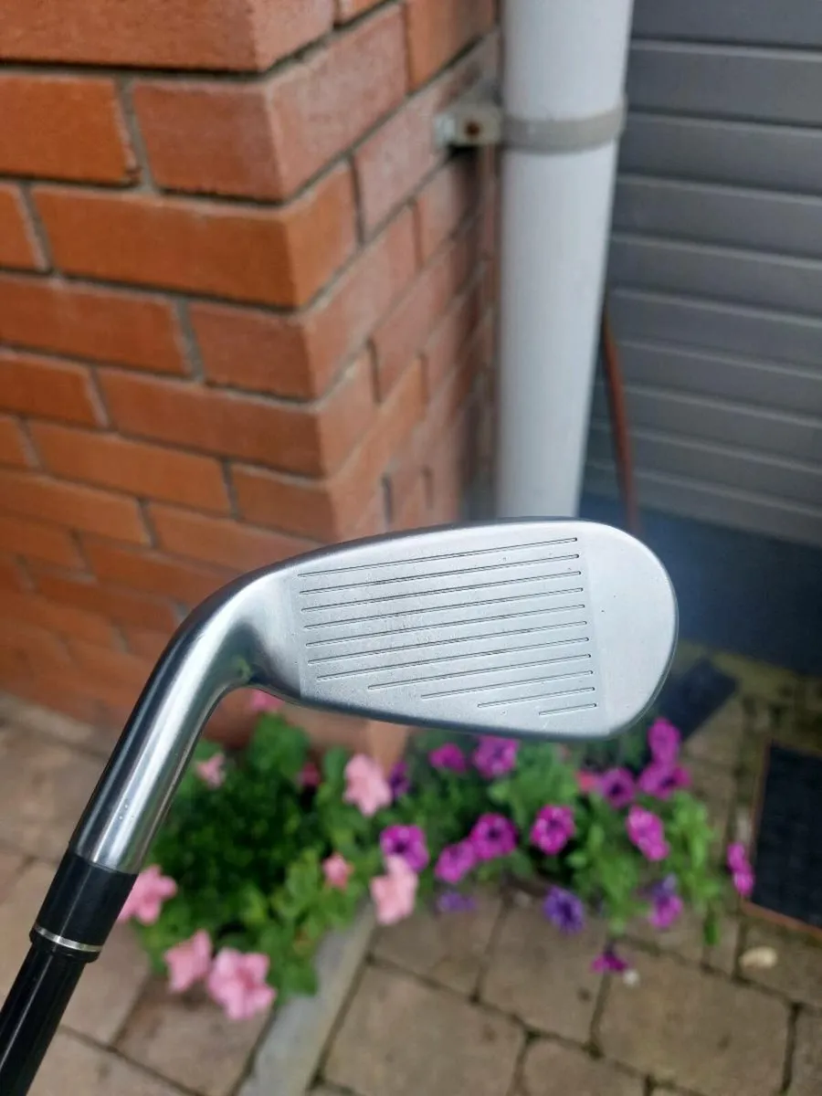 Golf club - Image 3