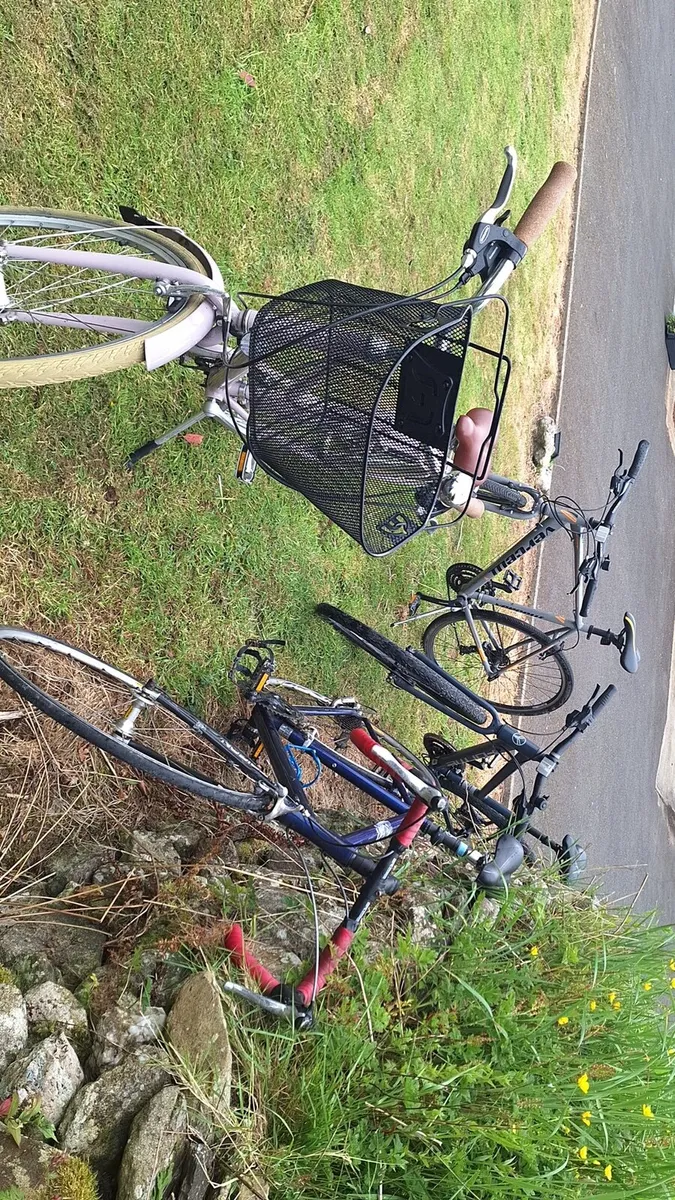 Bikes - Image 2