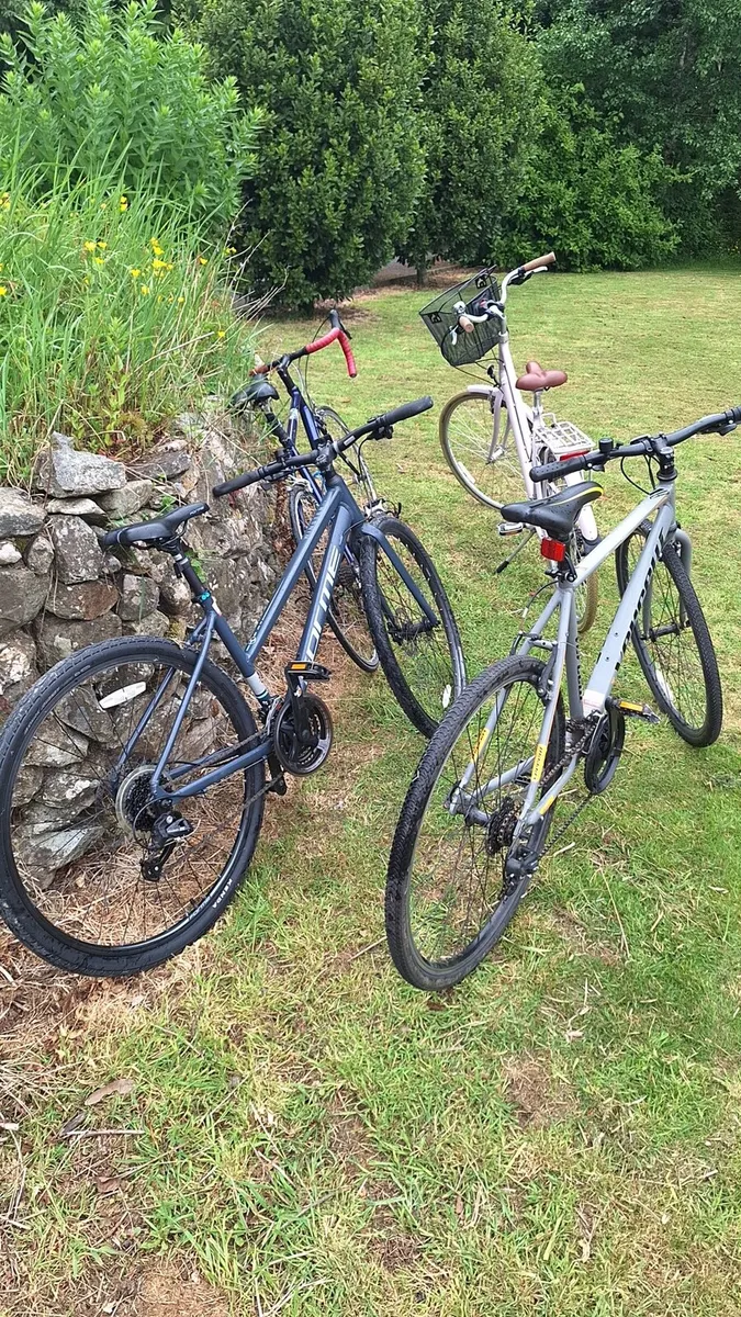 Bikes - Image 3