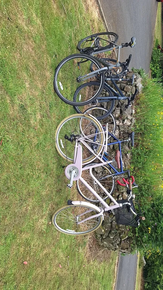 Bikes - Image 1