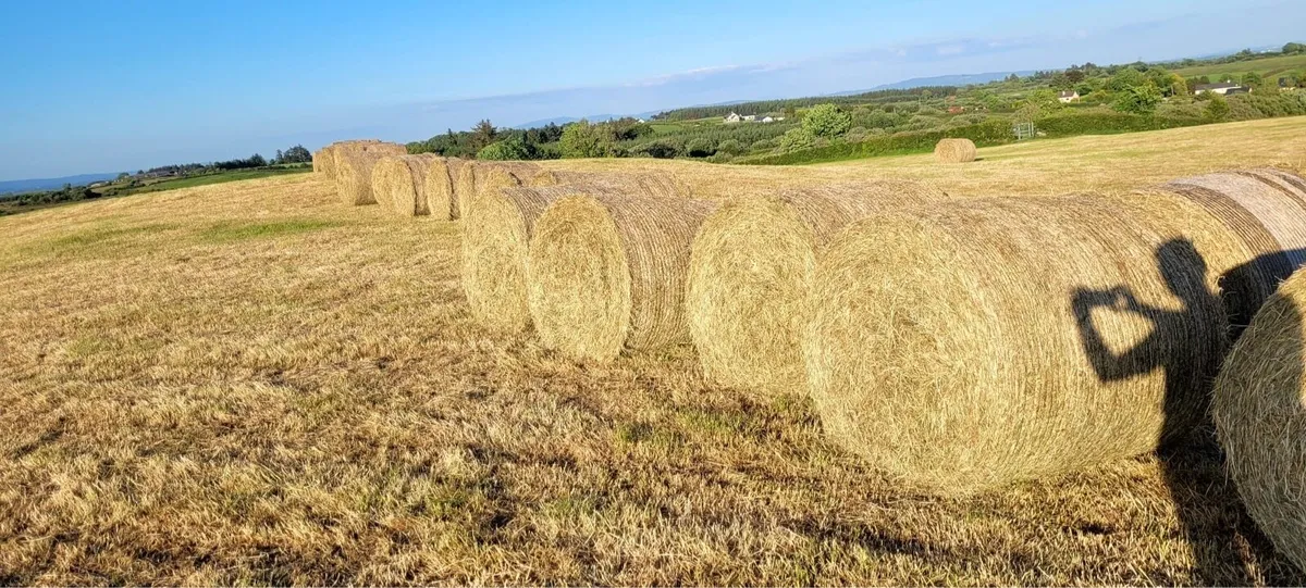Round and Square bales - Image 2