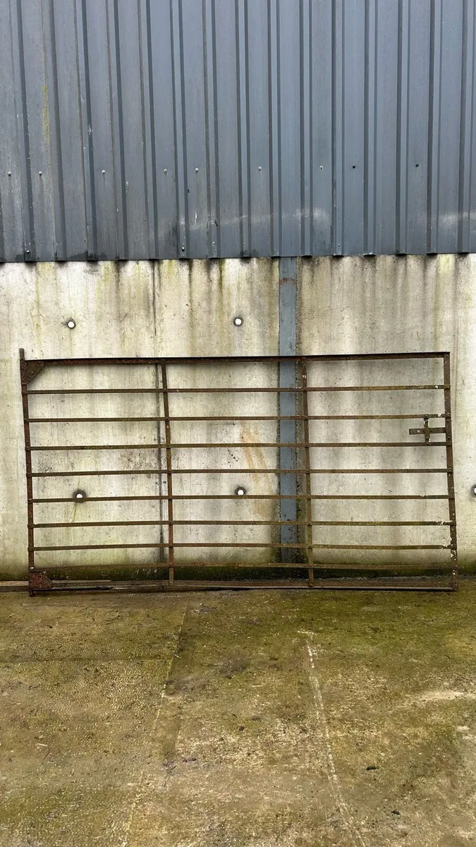 Old style metal gate - Image 1