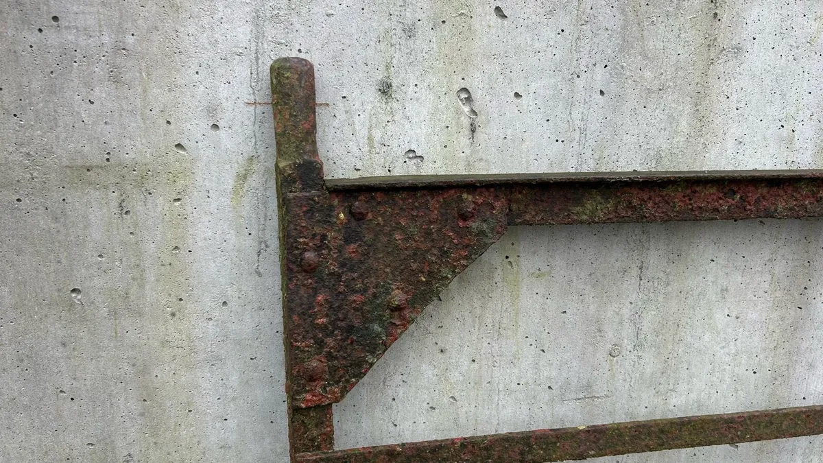 Old style metal gate - Image 2