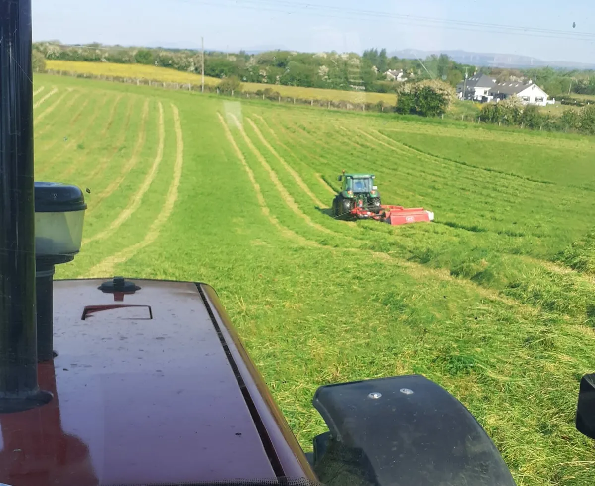 Lely 240 MC Conditioner - Image 1