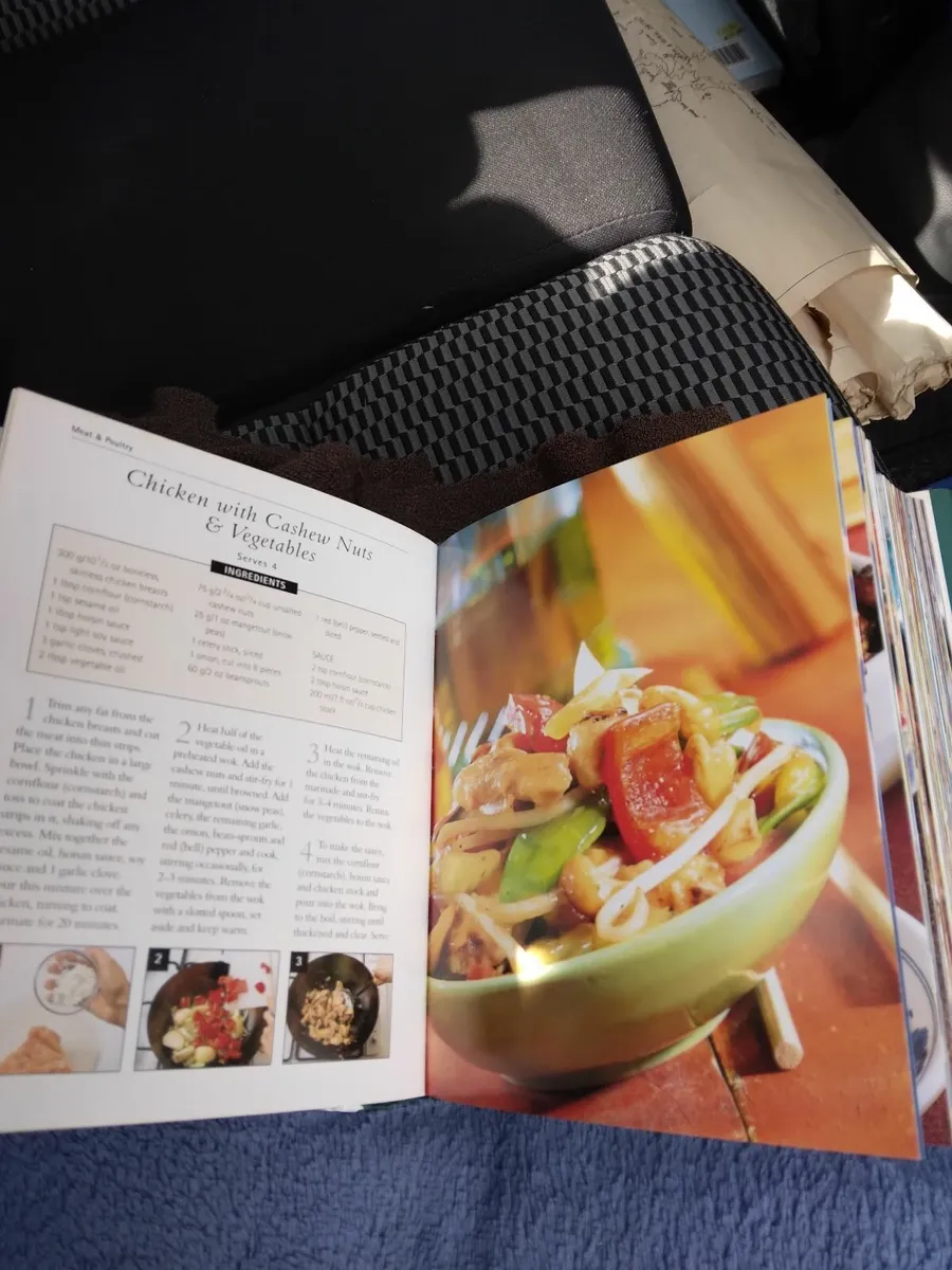 Wok and orental recipes book - Image 2