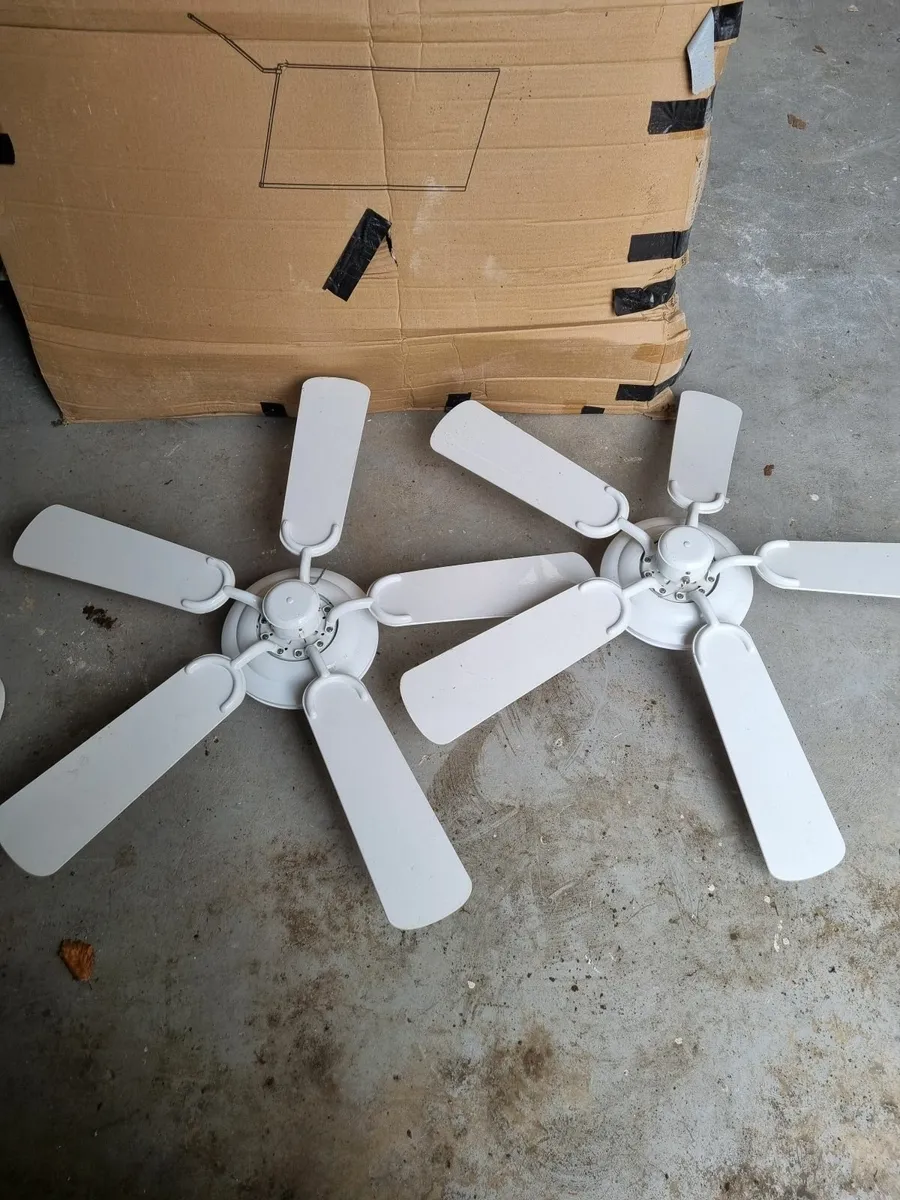 Ceiling Fans - Image 1