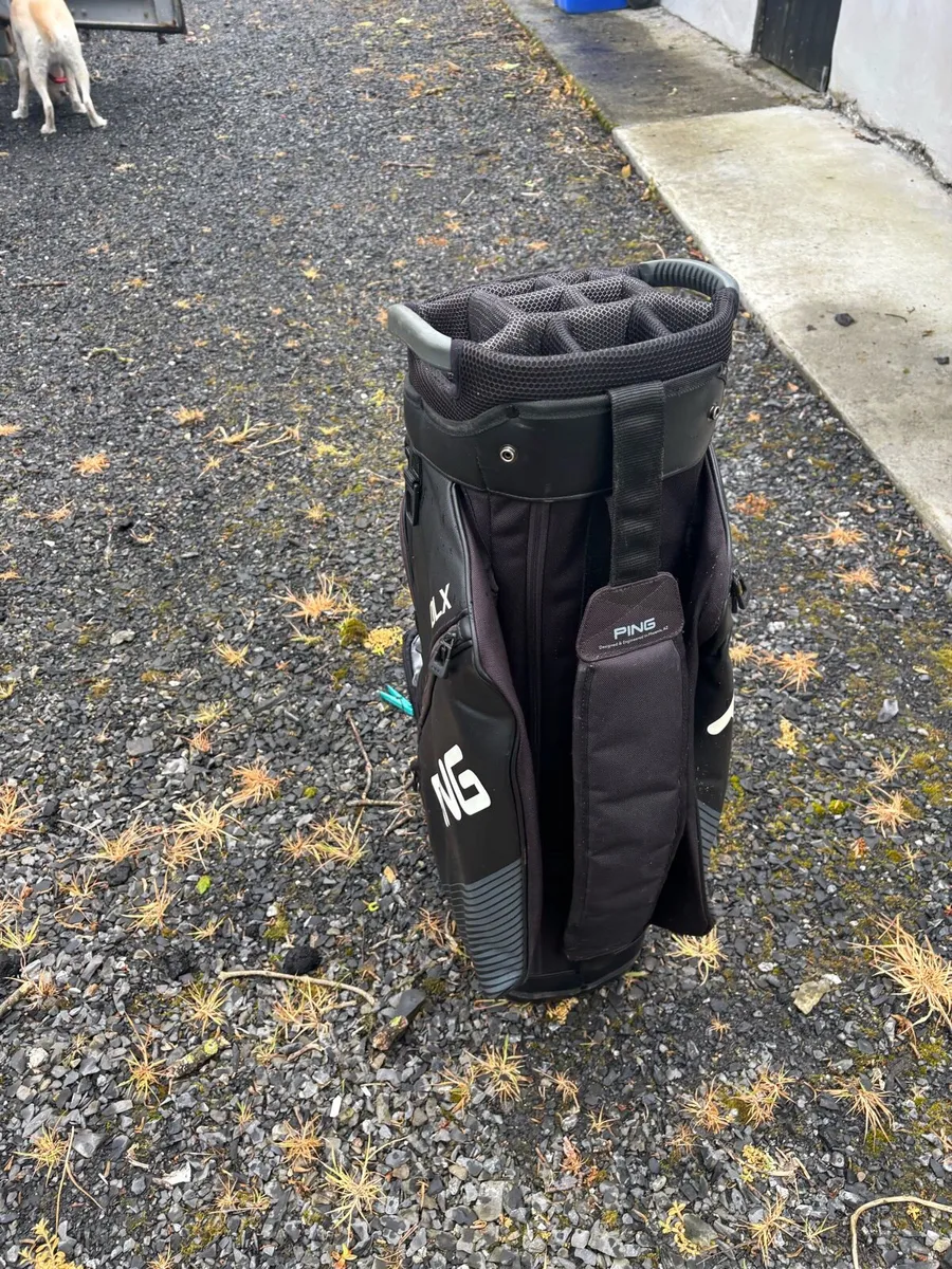 Golf bag - Image 1