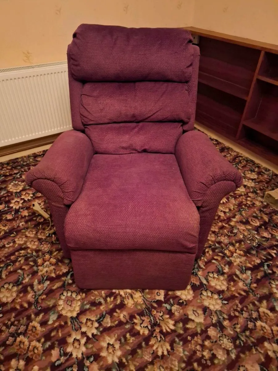 Riser/Recliner - Image 1