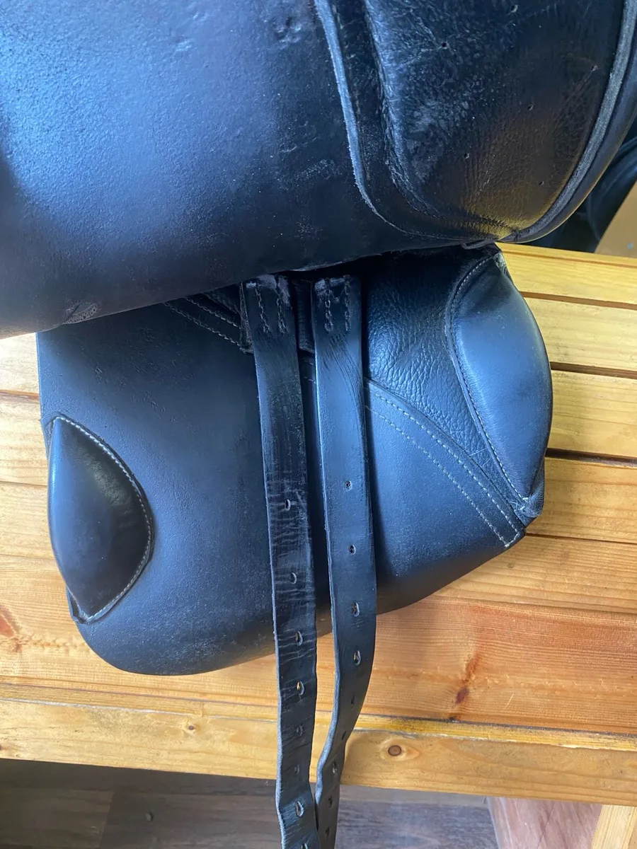 15.5 close contact pony Leather jump saddle - Image 2