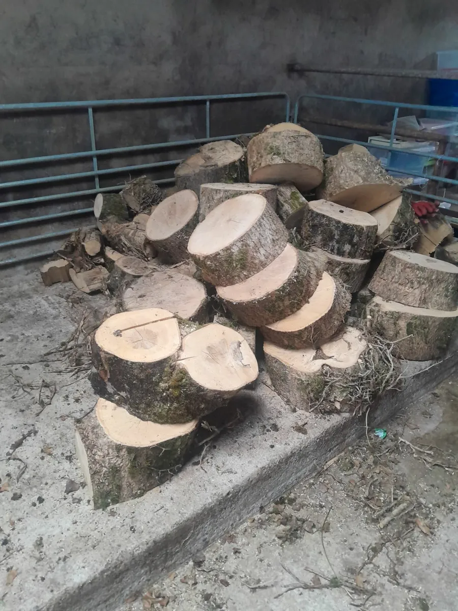 Firewood - Image 1