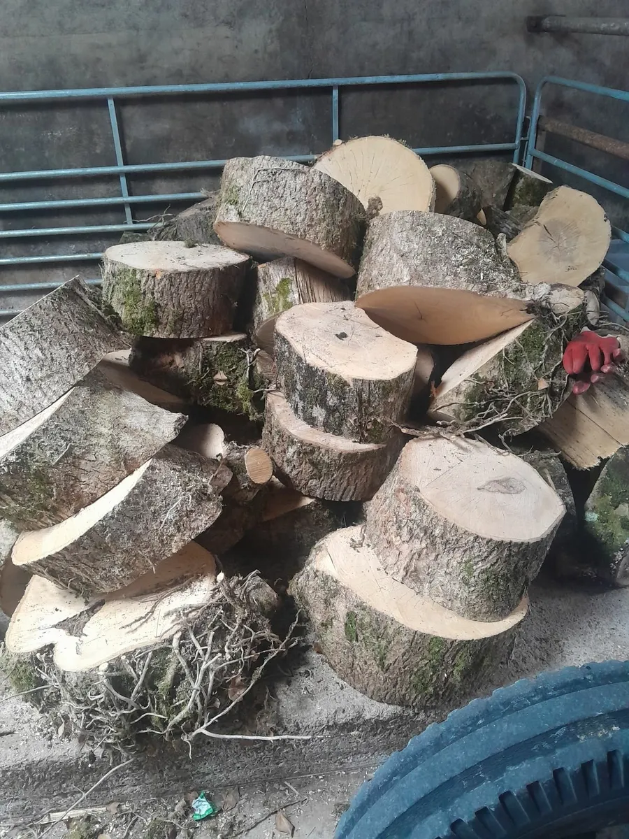 Firewood - Image 2