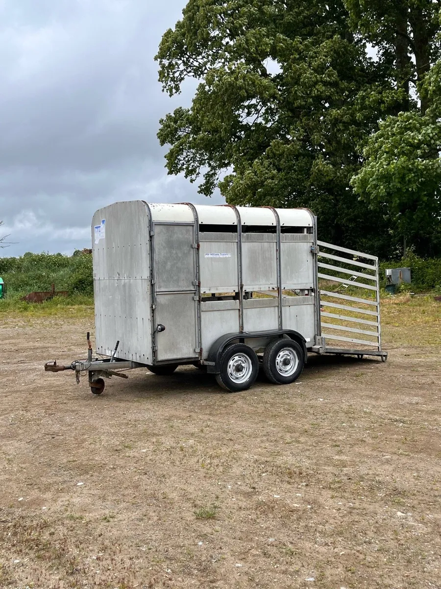 Ifor Williams Livestock Trailer - Image 1