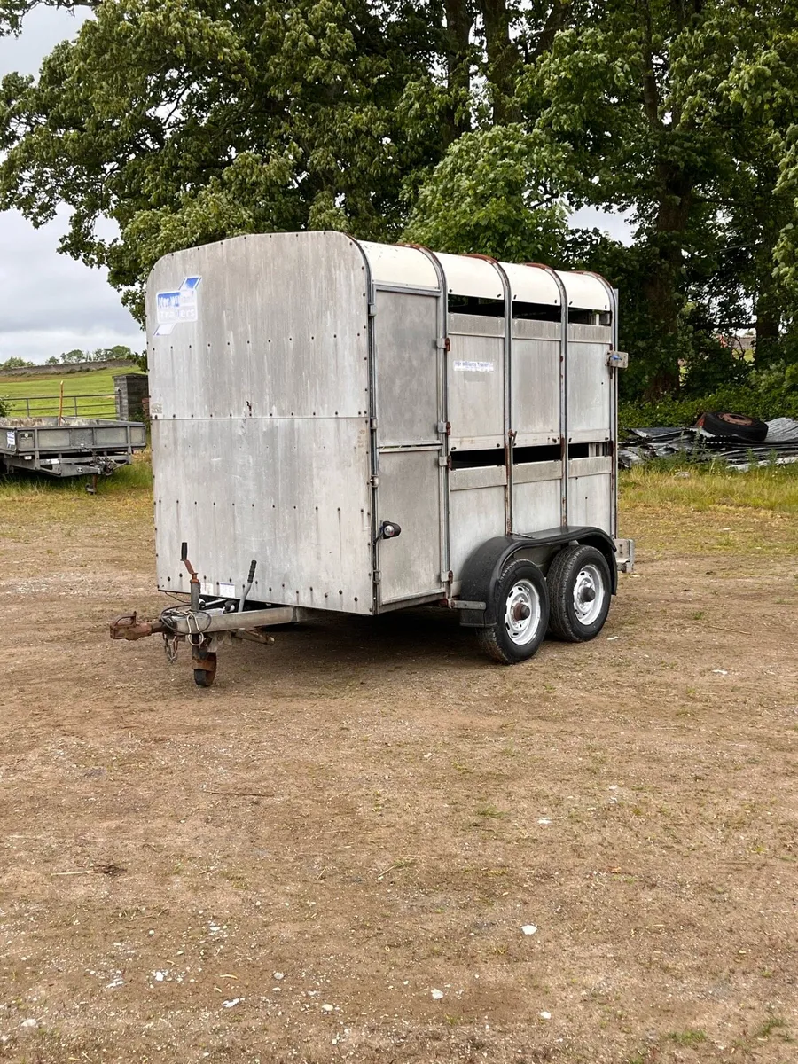 Ifor Williams Livestock Trailer - Image 2