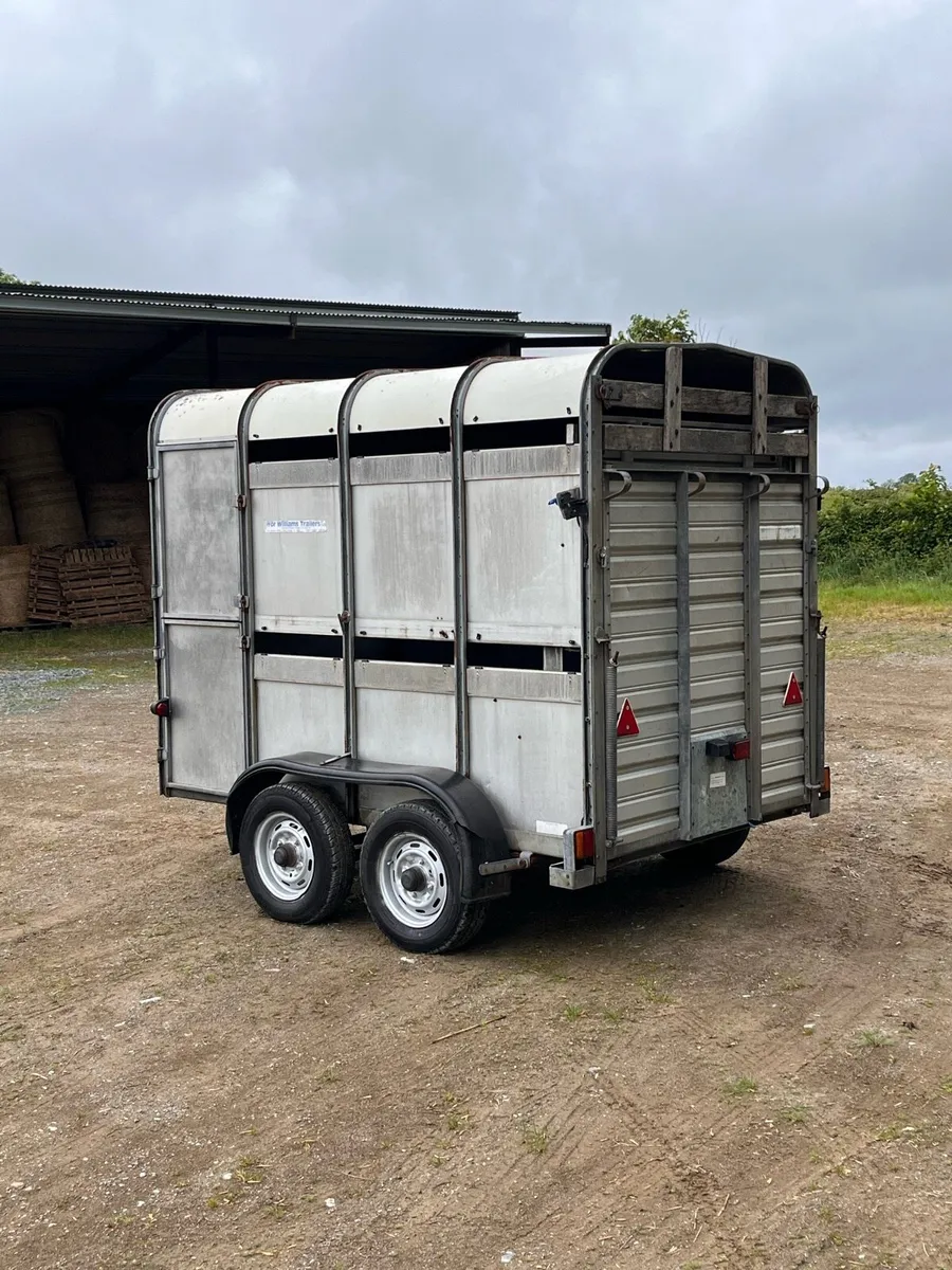Ifor Williams Livestock Trailer - Image 3