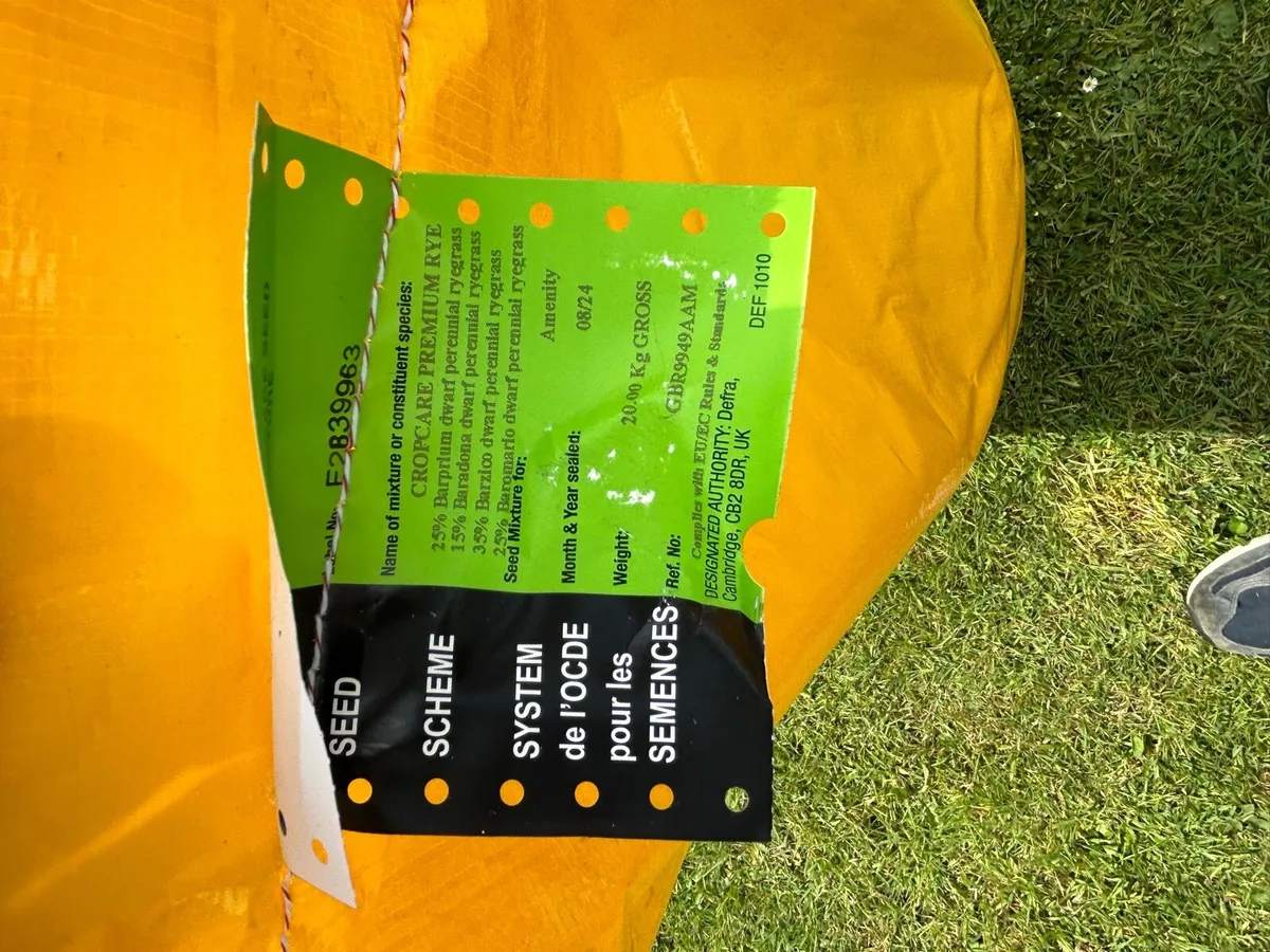 Grass seed - Image 2