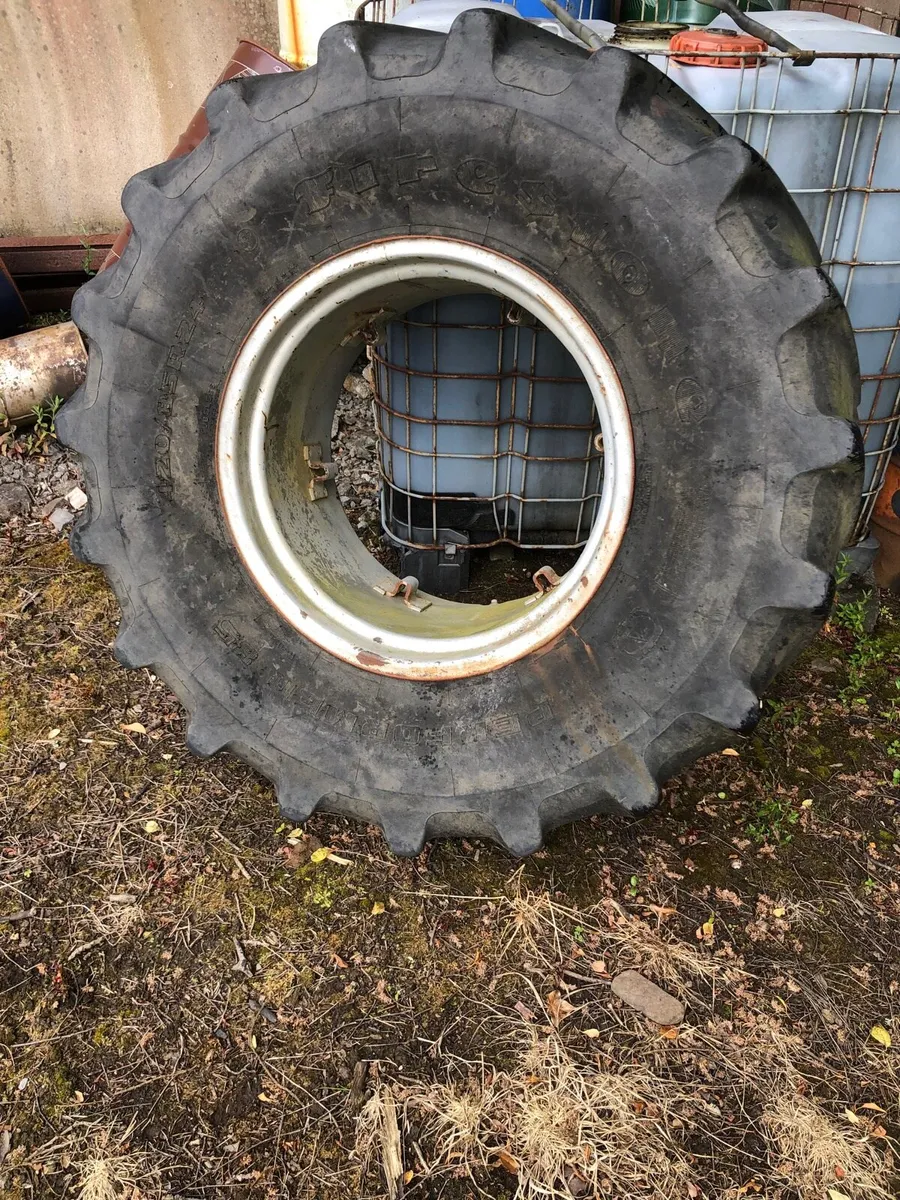 Yard clear out - Image 2