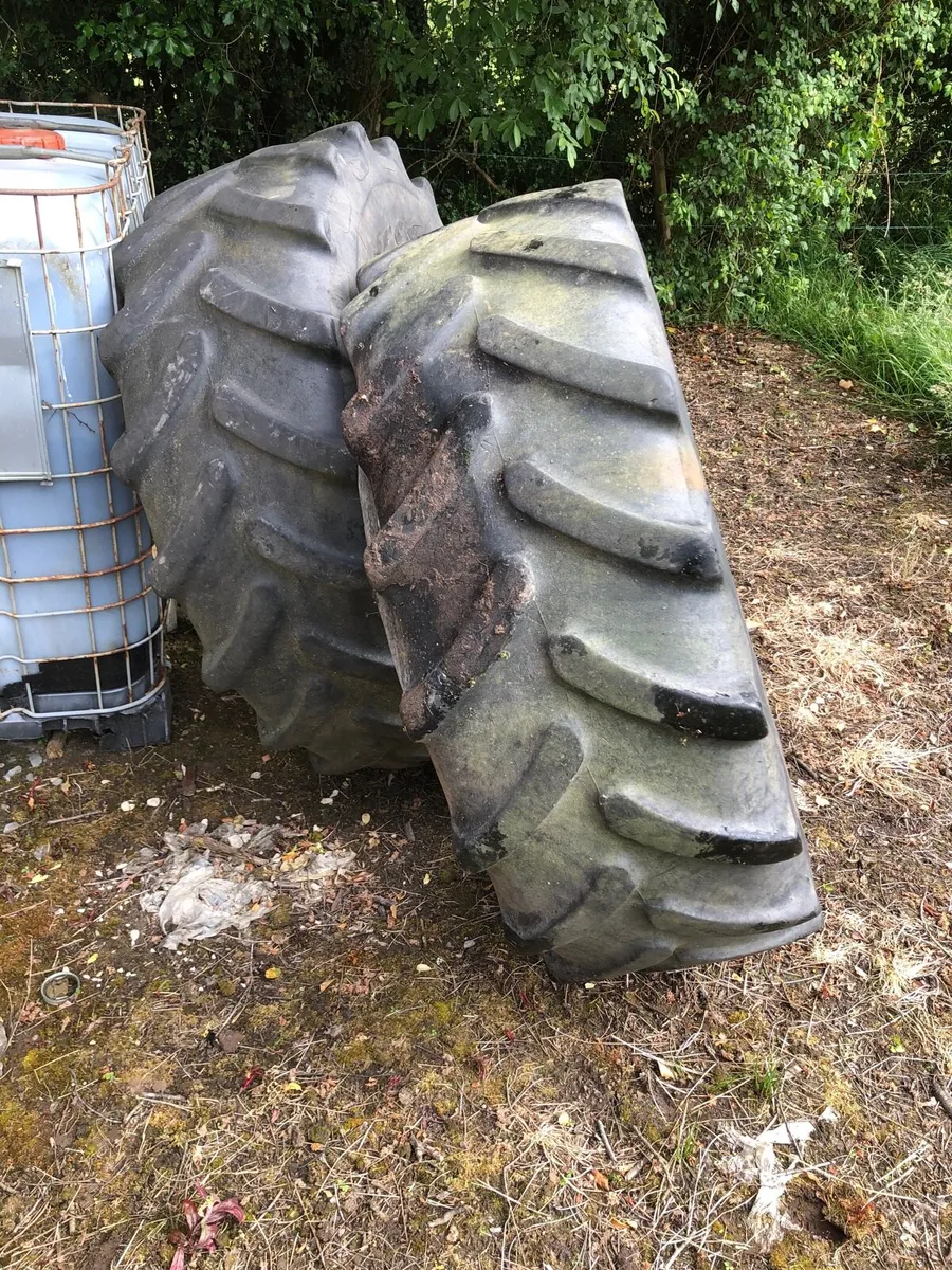 Yard clear out - Image 3