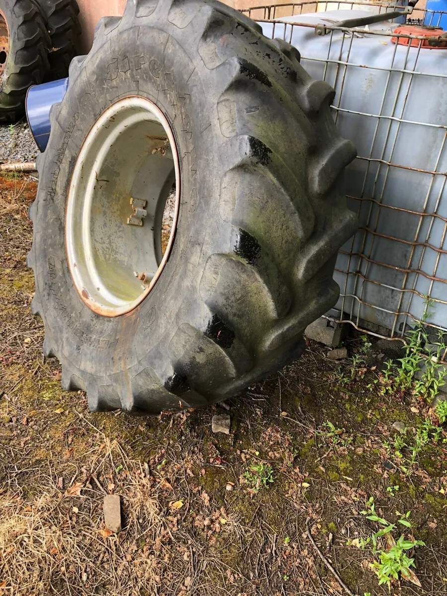 Yard clear out - Image 4