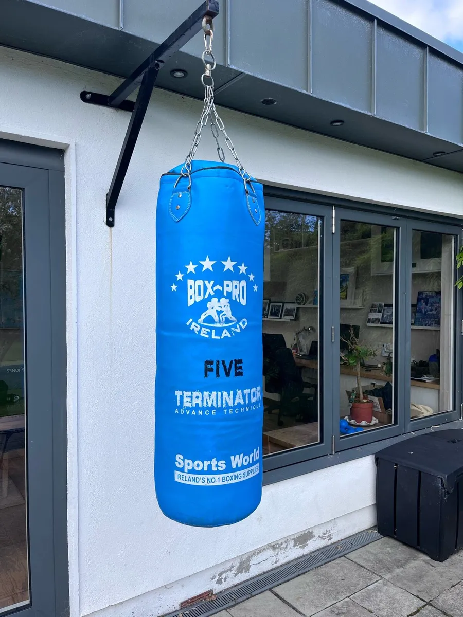 Boxing Bag - Image 2