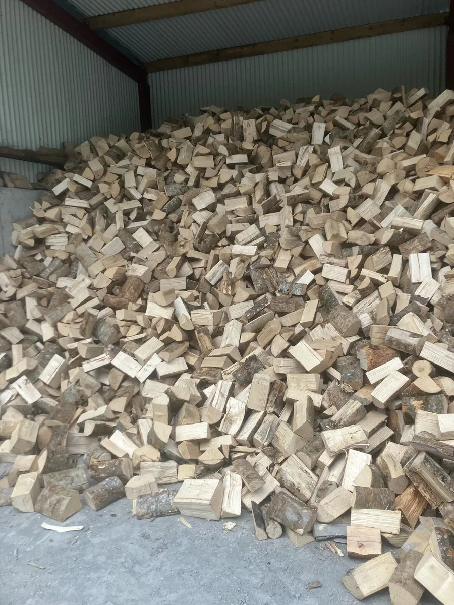Firewood hardwood - Image 2