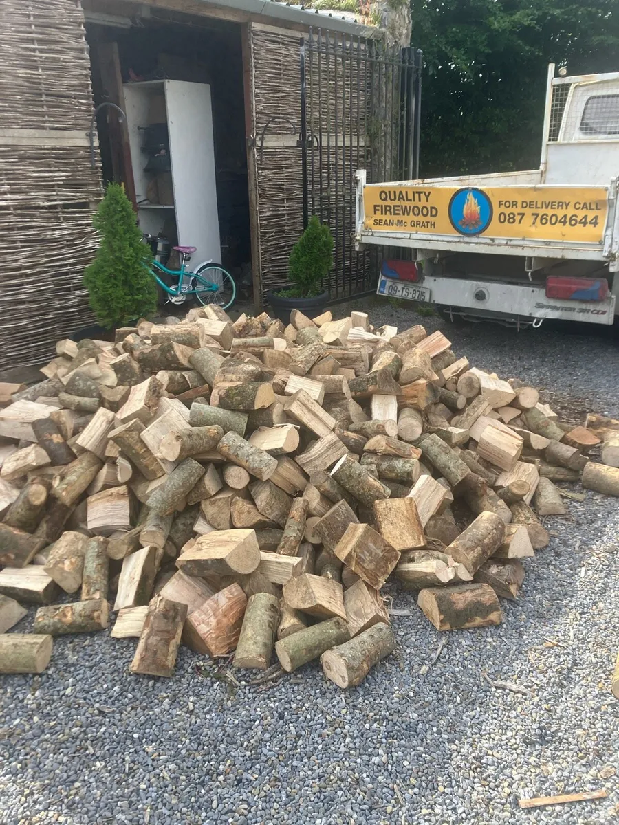 Firewood hardwood - Image 1
