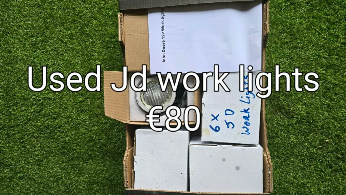 Shed clear out - Image 3