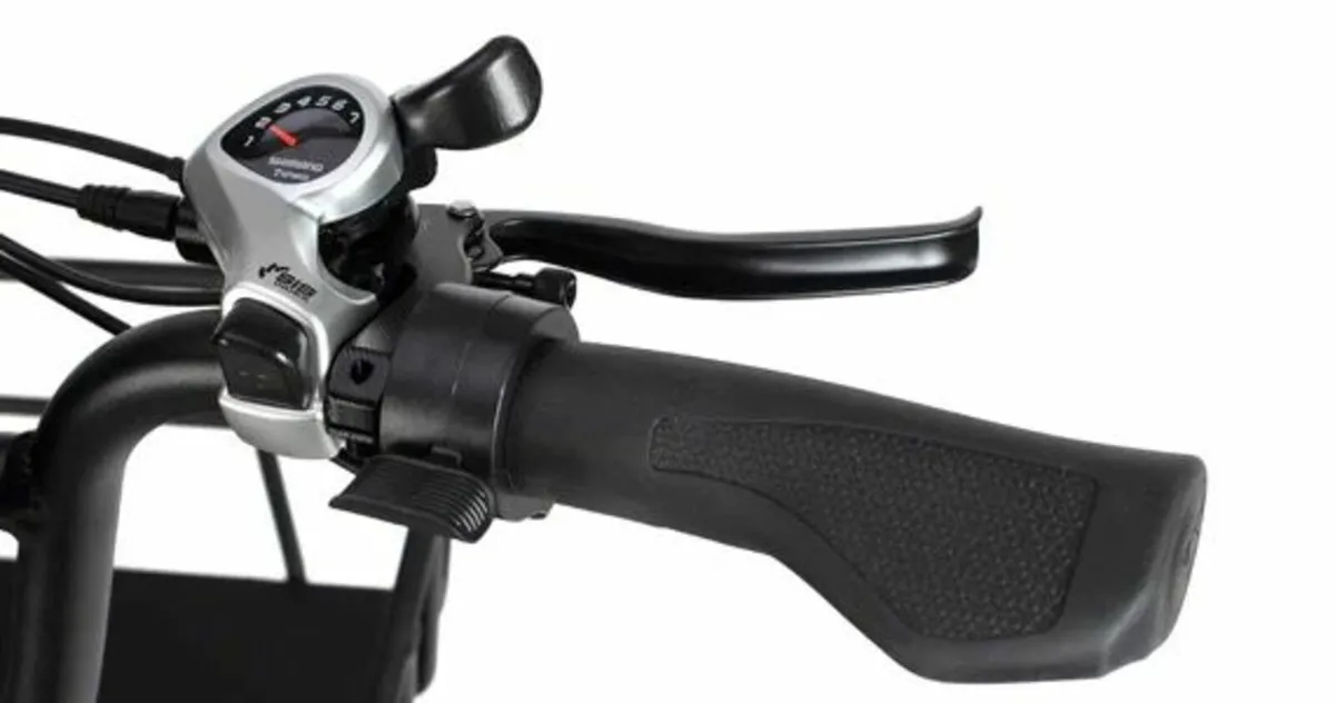 Fiido/ Philodo T1 Pro Electric Bike - Image 4