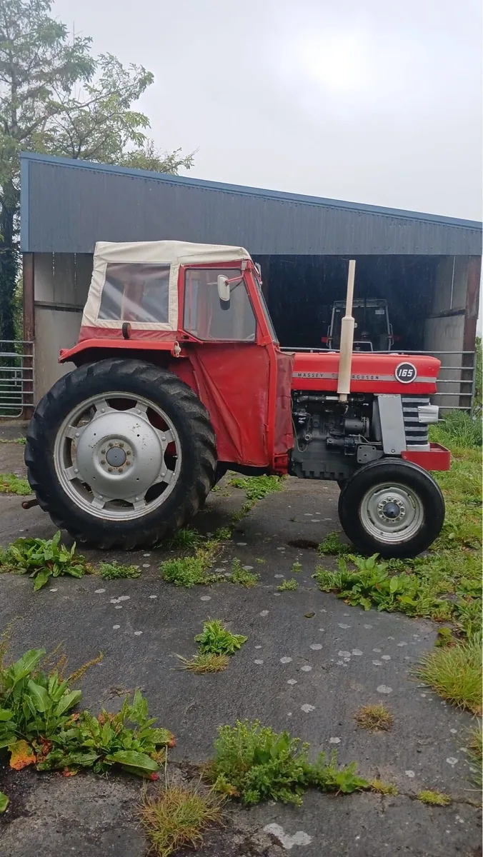 Massey Ferguson 165 - Image 2