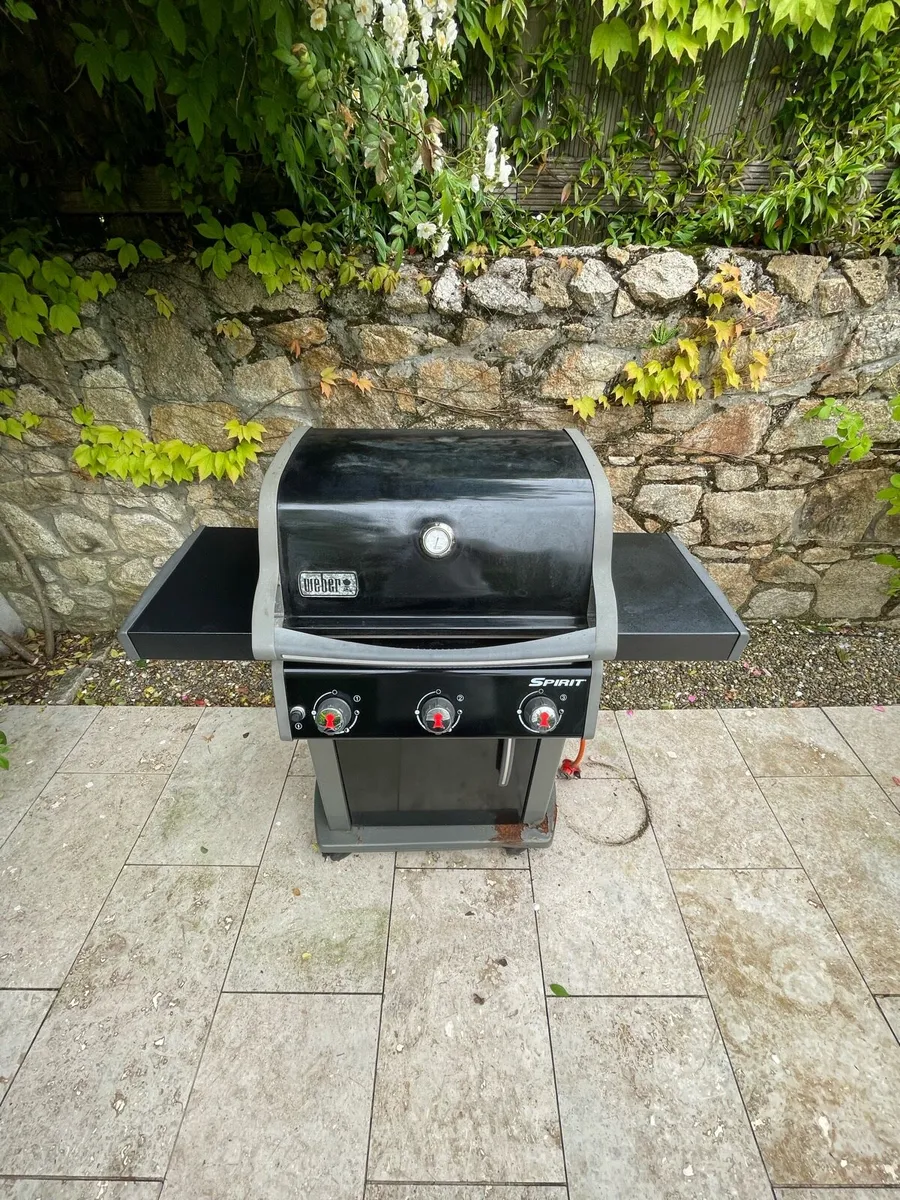 Weber Barbecue - Image 1