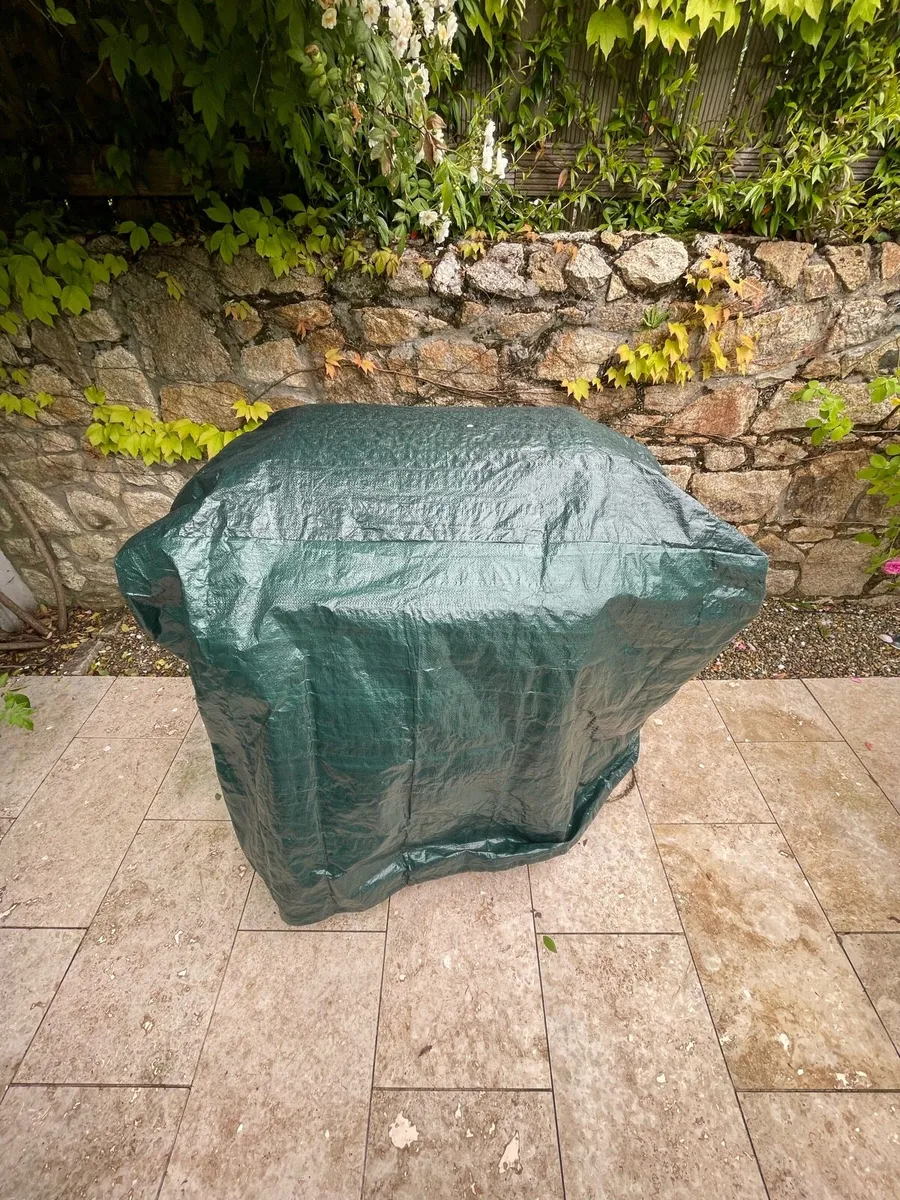 Weber Barbecue - Image 2