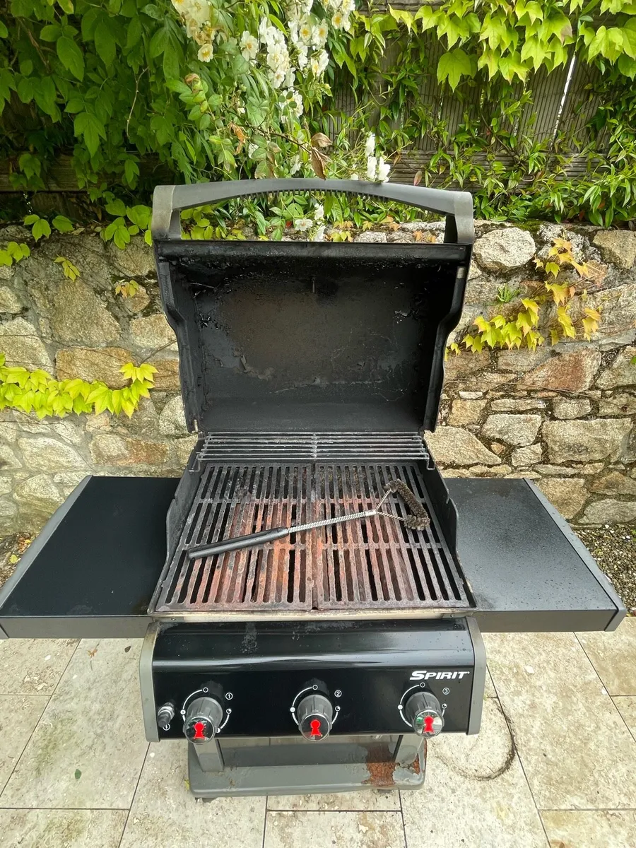Weber Barbecue - Image 3