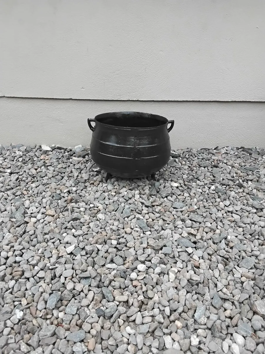 Cast iron skillet pot / planter - Image 1