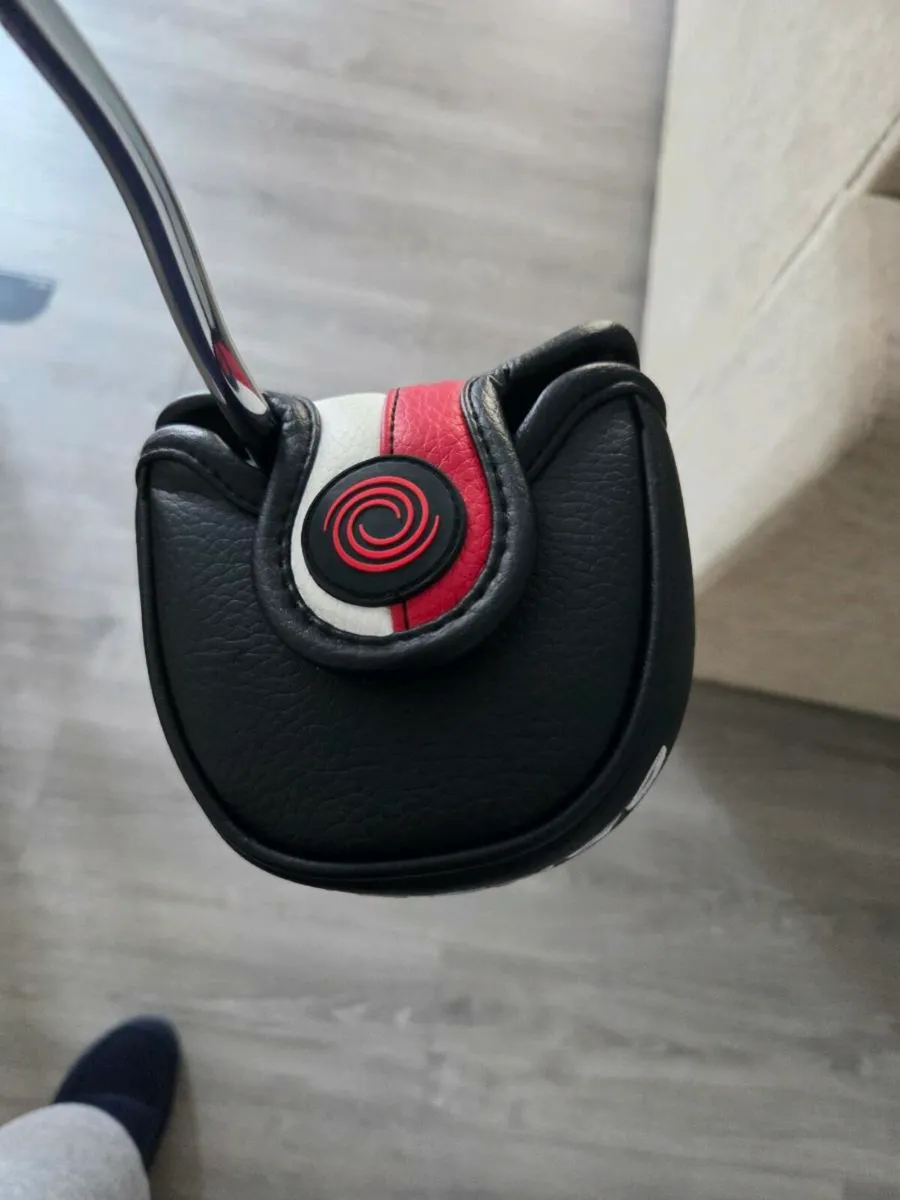 Oddessy og 7 bird - Image 2