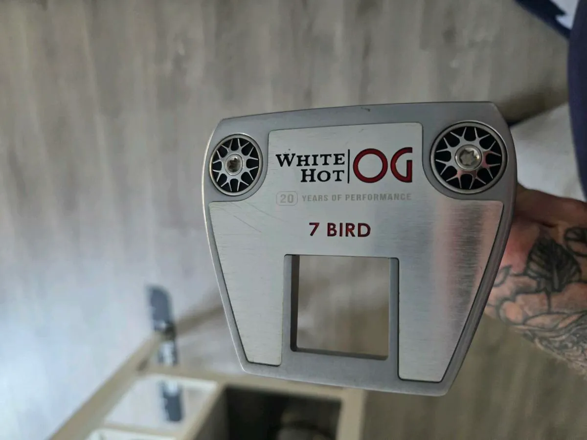 Oddessy og 7 bird - Image 3