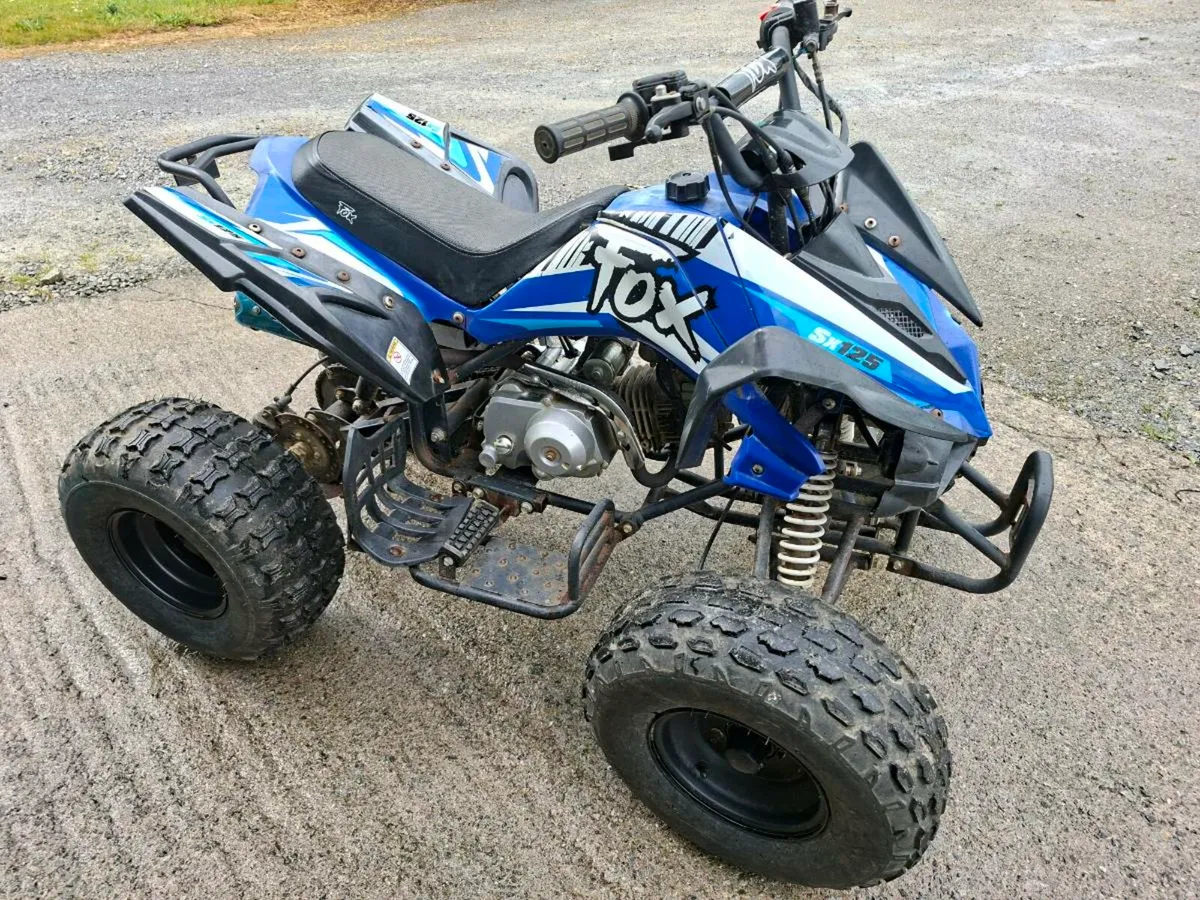 Fox 125 kids quad - Image 1