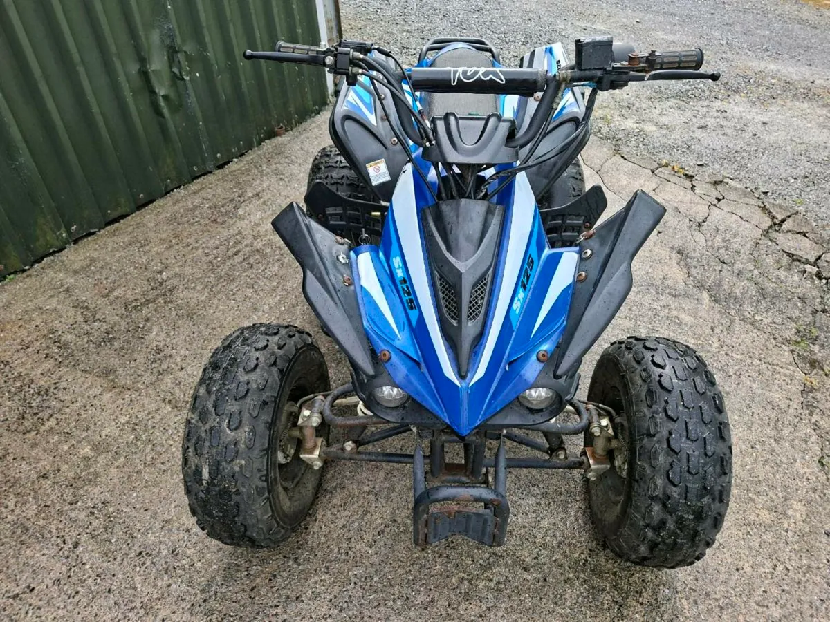 Fox 125 kids quad - Image 2