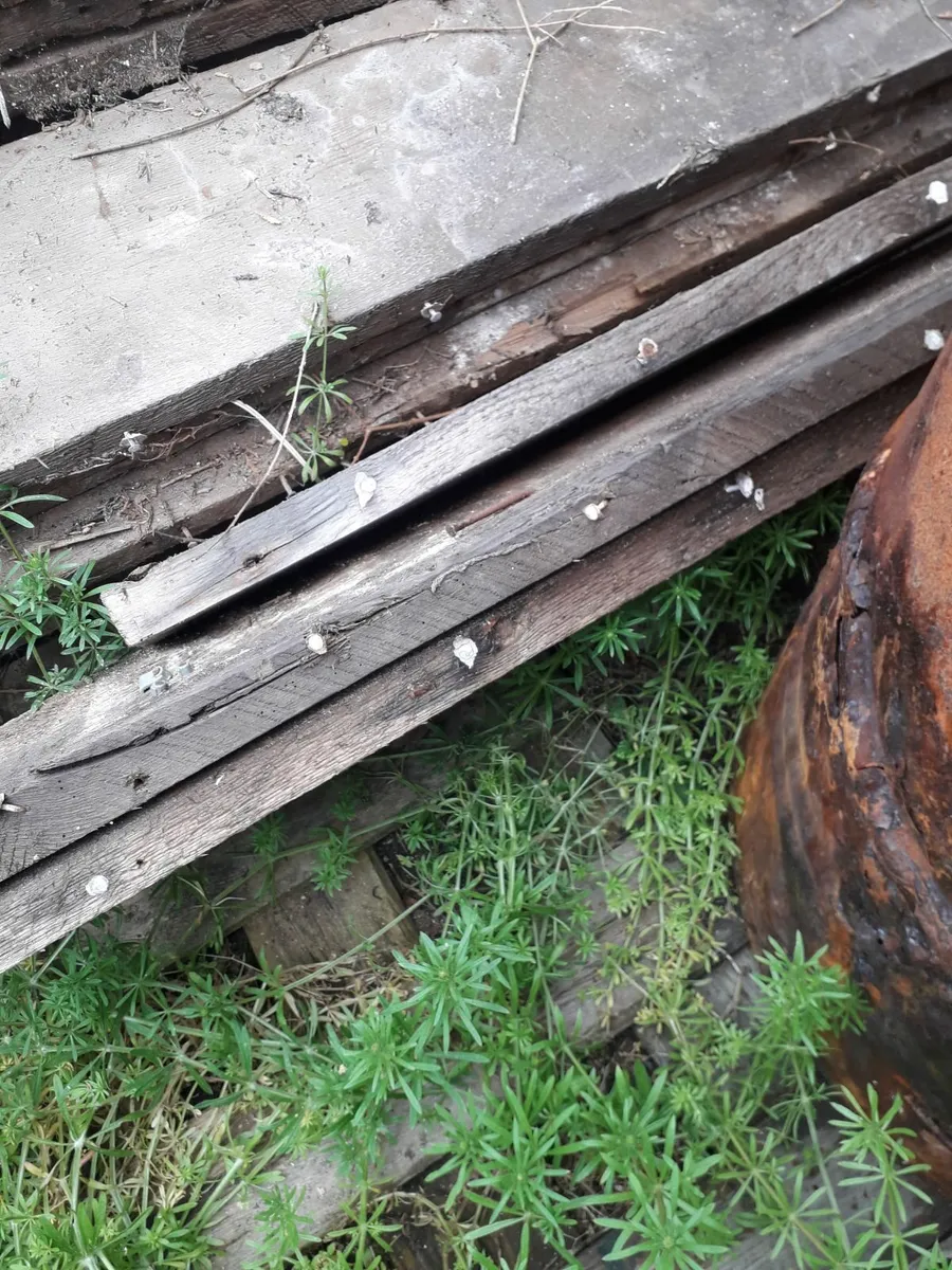 20x7ft x 9inchx1,5inch planks/timber 20e the lot - Image 3
