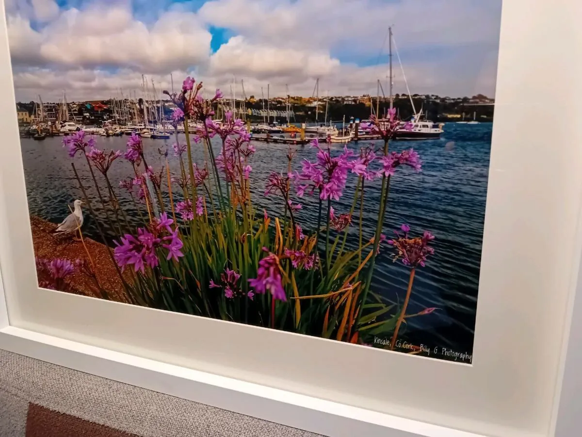 Kinsale - Image 2