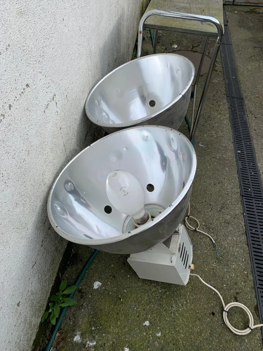 Lights - Image 1