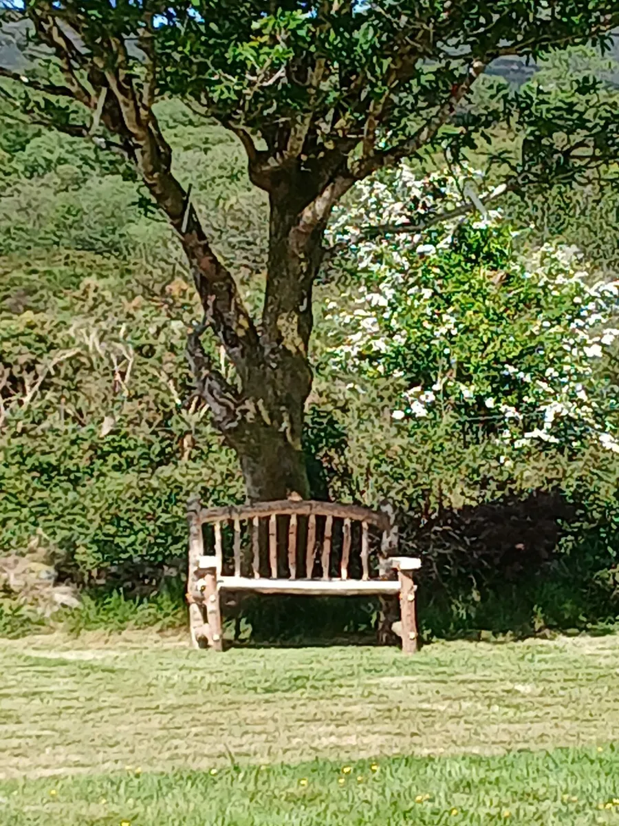 Garden - Image 2