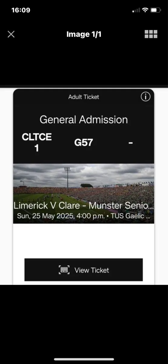 Limerick V Clare terrace ticket