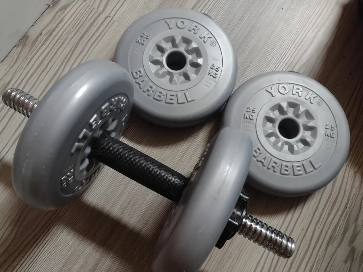 10kg weights - Image 1