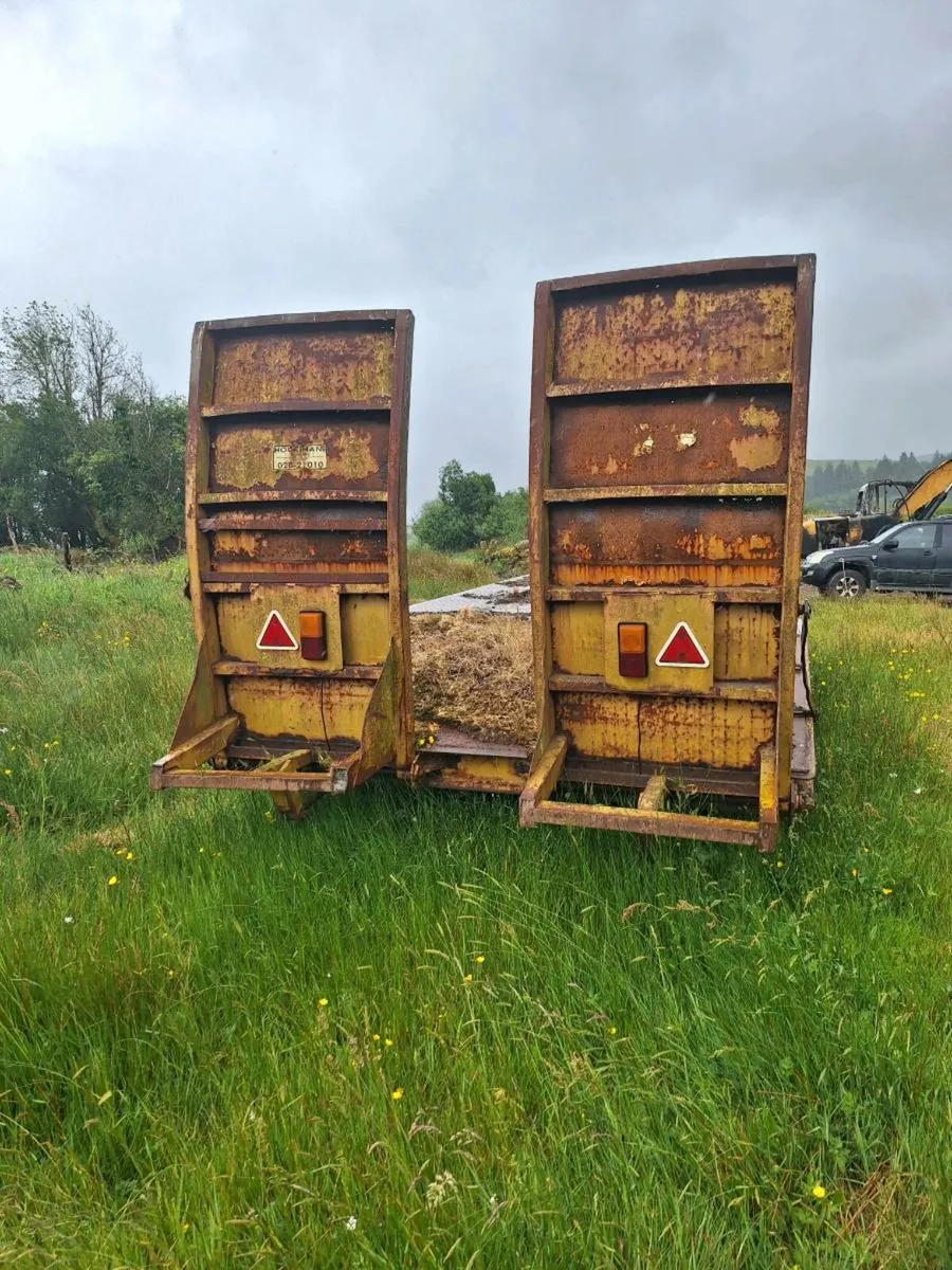 Low loader - Image 2
