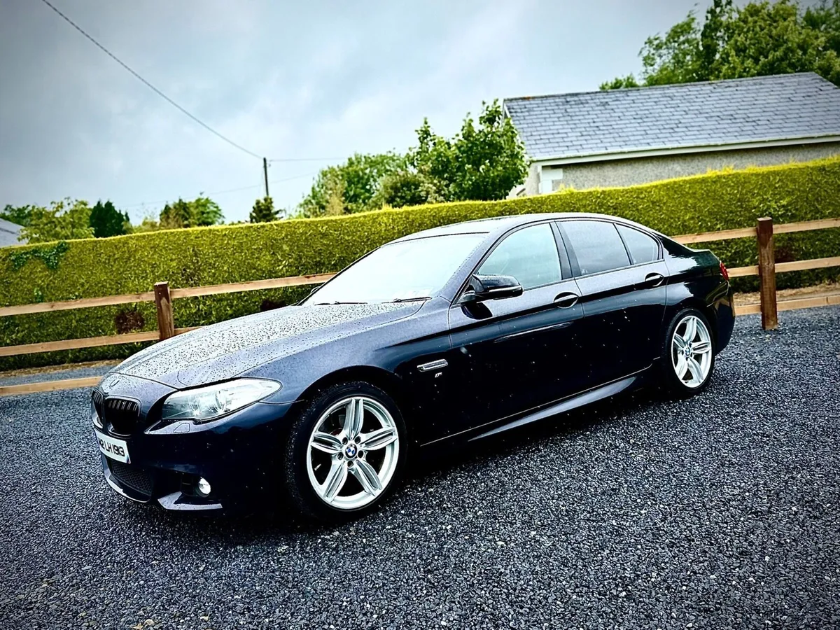 BMW 520d M Sport Auto - Image 2