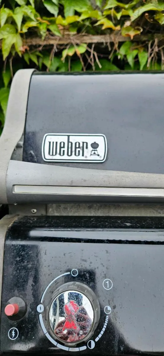 Weber Spirit Bbq - Image 2