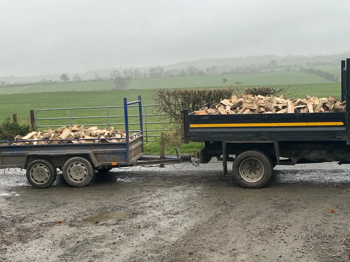 Ash Firewood - Image 4