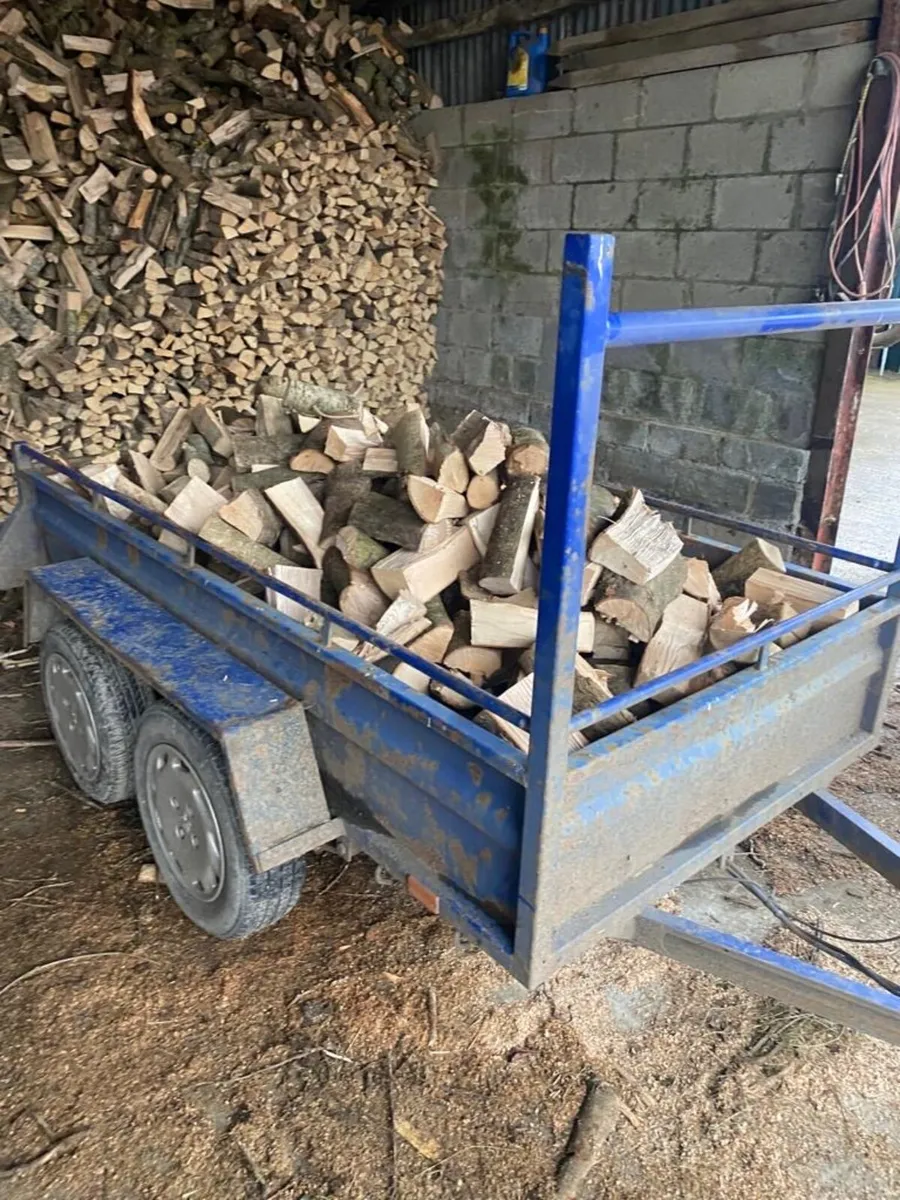 Ash firewood - Image 3