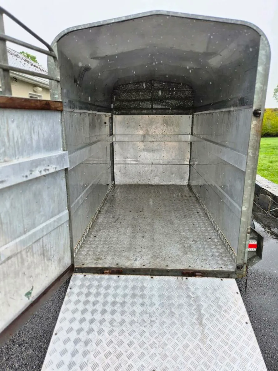 Trailer 8x4 - Image 2